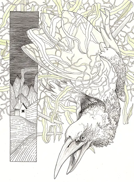 Intuitive art - raven - crow