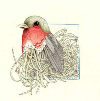 Ink on paper, 30 x 30 cm Drawing of a bird growing from sheets of grass