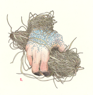 Ink and pencil on paper, 30 x 30 cm Drawing of a hand holding a bundle of grass, which is also the wrist of the hand