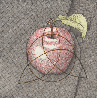 Ink on paper, 30 x 30 cm Intuitive drawing of an apple with the Celtic threefold knot