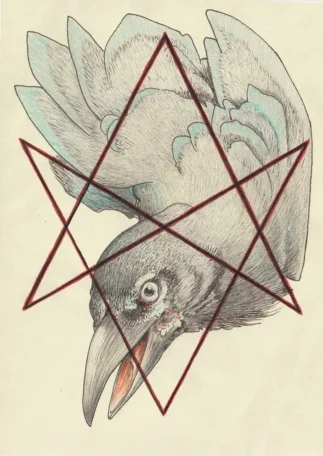 Ink on paper, 15 x 21 cm Drawing of a crow looking through the unicursal hexagram