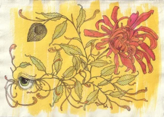 Ink on paper, 29,7 x 21 cm Spiritual drawing of a eye growing a flower and a lantern seed. A reference to the beauty of nature and the growth of seeing